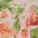 Color Swatch - Floral