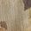 Color Swatch - Cream Multi