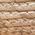 Color Swatch - Tan