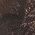 Color Swatch - Brown