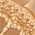 Color Swatch - Gold