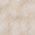 Color Swatch - Ivory Floral