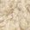 Color Swatch - Ivory