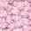 Color Swatch - Pink Multi