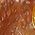 Color Swatch - Brown