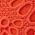 Color Swatch - Orange