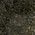 Color Swatch - Black