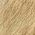 Color Swatch - Cream Multi