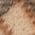 Color Swatch - Brown/Multi