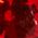 Color Swatch - Red