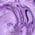 Color Swatch - Purple