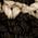 Color Swatch - Black