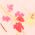 Color Swatch - Floral