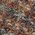 Color Swatch - Brown
