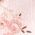 Color Swatch - Floral