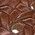 Color Swatch - Tan