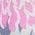 Color Swatch - Floral