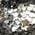 Color Swatch - Silver/Black