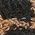 Color Swatch - Brown