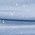Color Swatch - Blue