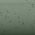 Color Swatch - Green