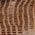 Color Swatch - Brown