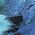 Color Swatch - Blue