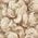 Color Swatch - Ivory