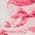Color Swatch - Floral