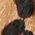 Color Swatch - Black