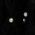 Color Swatch - Black