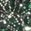 Color Swatch - Green