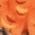 Color Swatch - Orange
