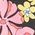 Color Swatch - Floral