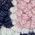 Color Swatch - Pink
