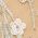Color Swatch - Ivory