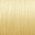 Color Swatch - Gold