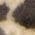 Color Swatch - Gold/Black