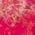 Color Swatch - Pink