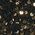 Color Swatch - Black/Gold
