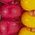 Color Swatch - Pink