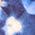 Color Swatch - Blue