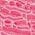 Color Swatch - Pink