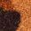 Color Swatch - Tan Leopard