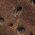 Color Swatch - Brown