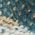 Color Swatch - Blue