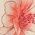 Color Swatch - Floral