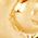 Color Swatch - Gold