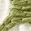 Color Swatch - Green