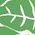 Color Swatch - Four Leaf Clover